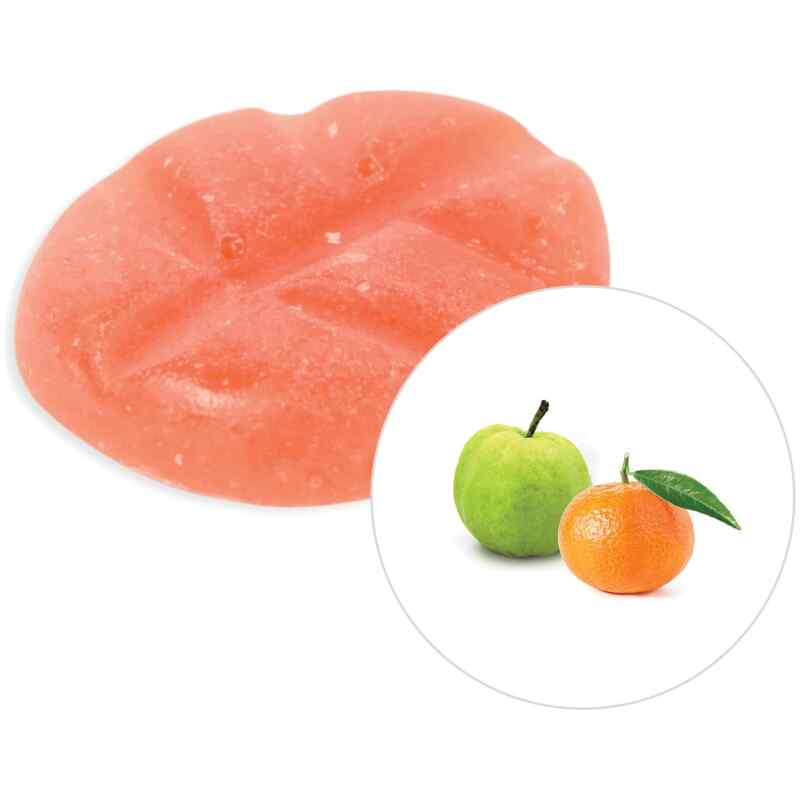 ScentChips Guava Tangerine