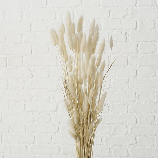 Dekozweig Samtgras weiß