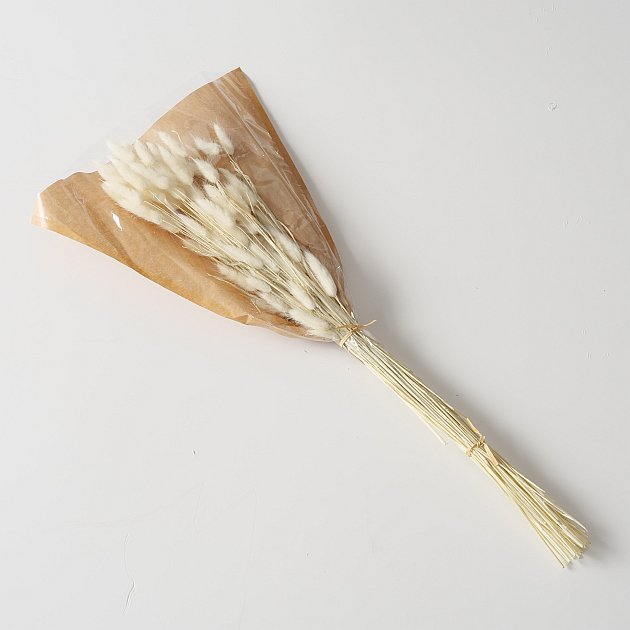 Dekozweig Samtgras weiß