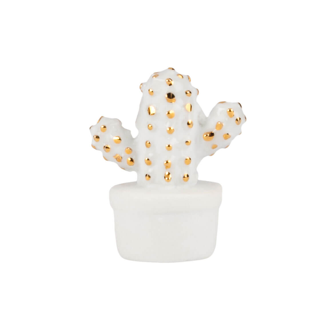 Herzstücke Glückskästchen Kaktus