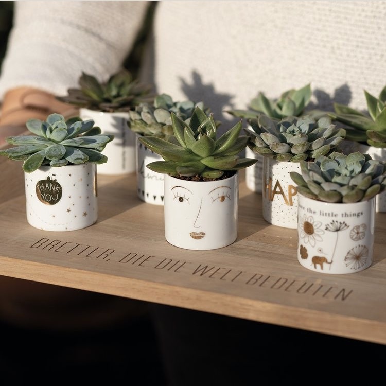 Helle Freude Teelichthalter Übersicht Blumentopf