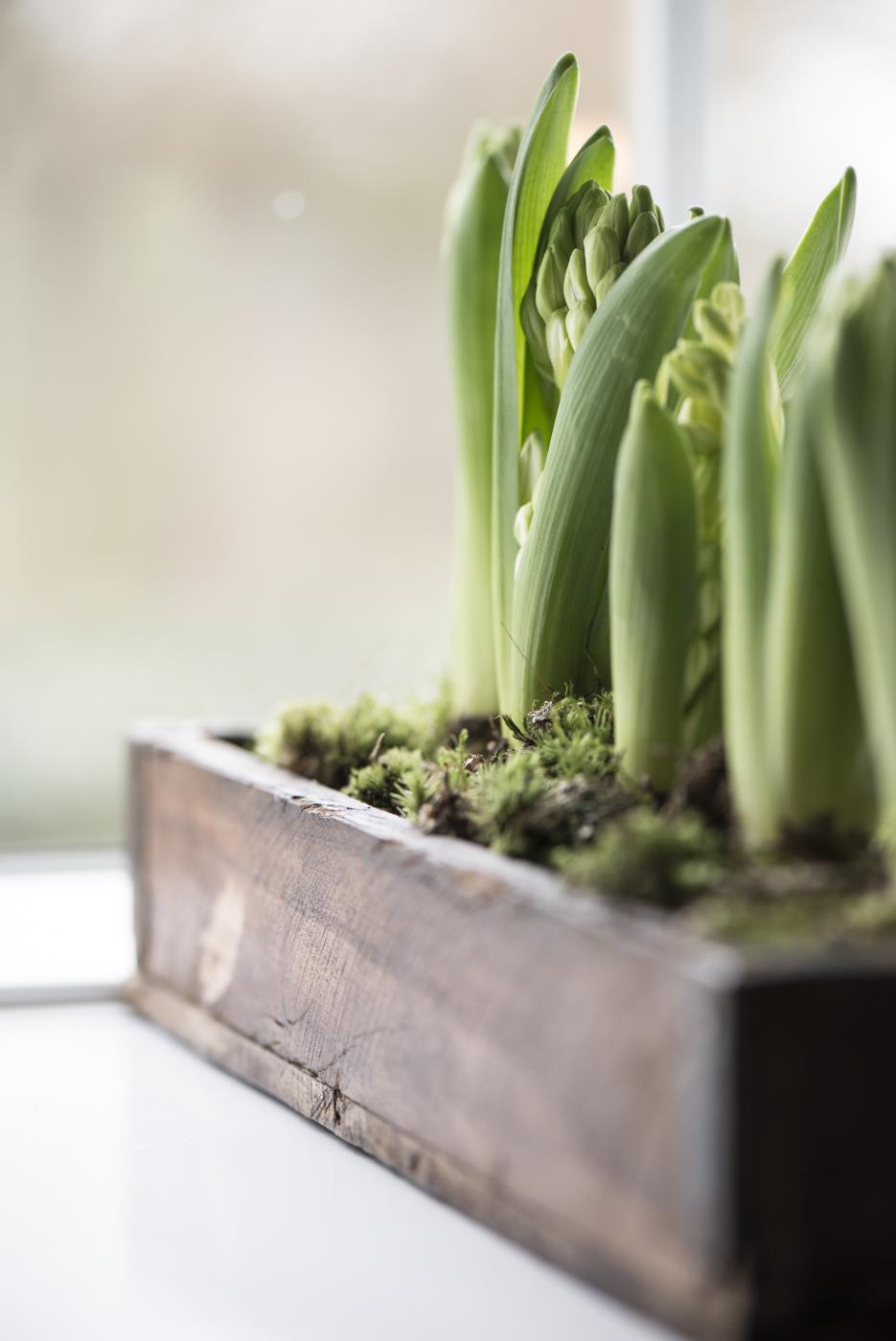 Kiste UNIKA Holz/Metallbeschlag B-Ware