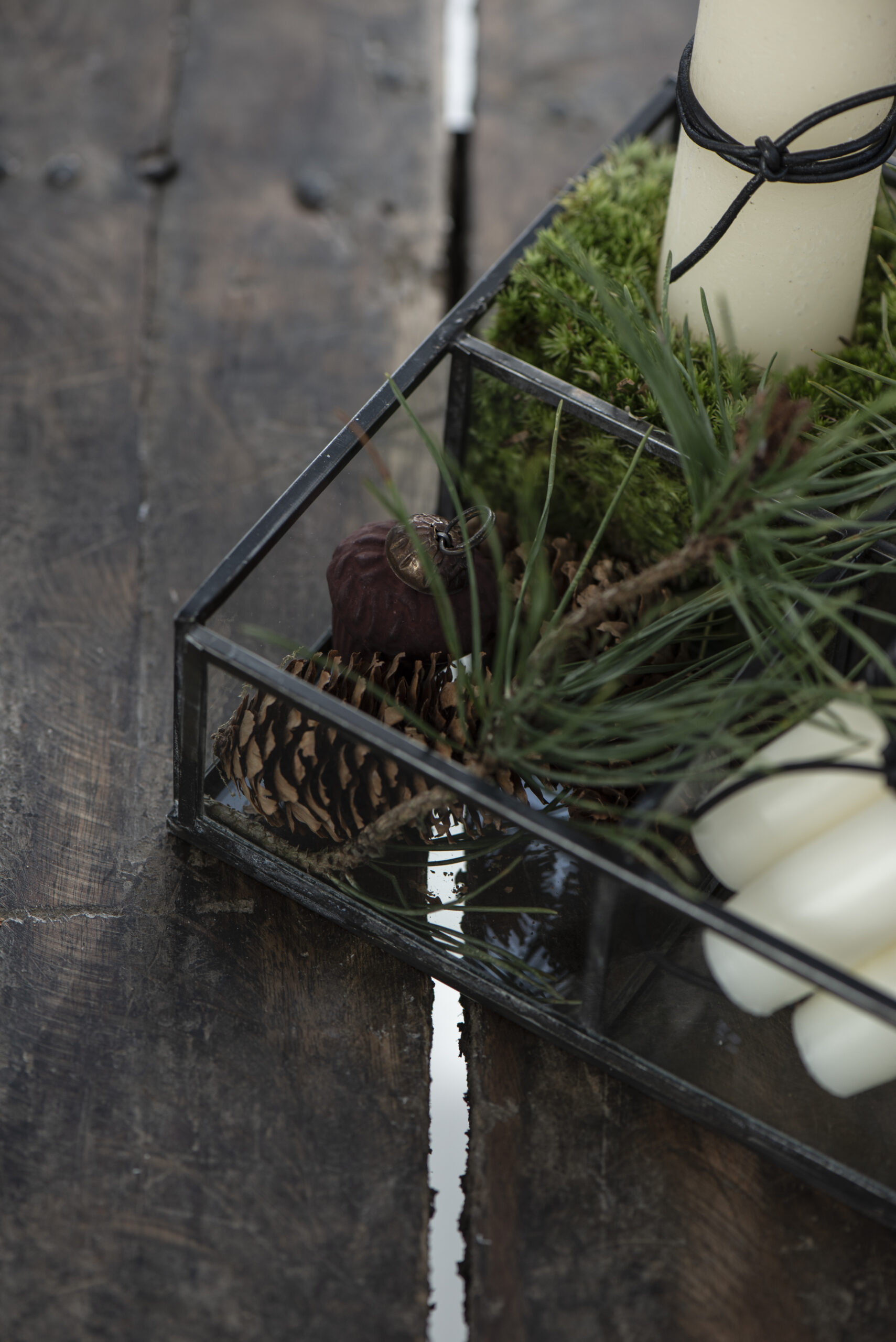 Glasbox mit 4 Fächern