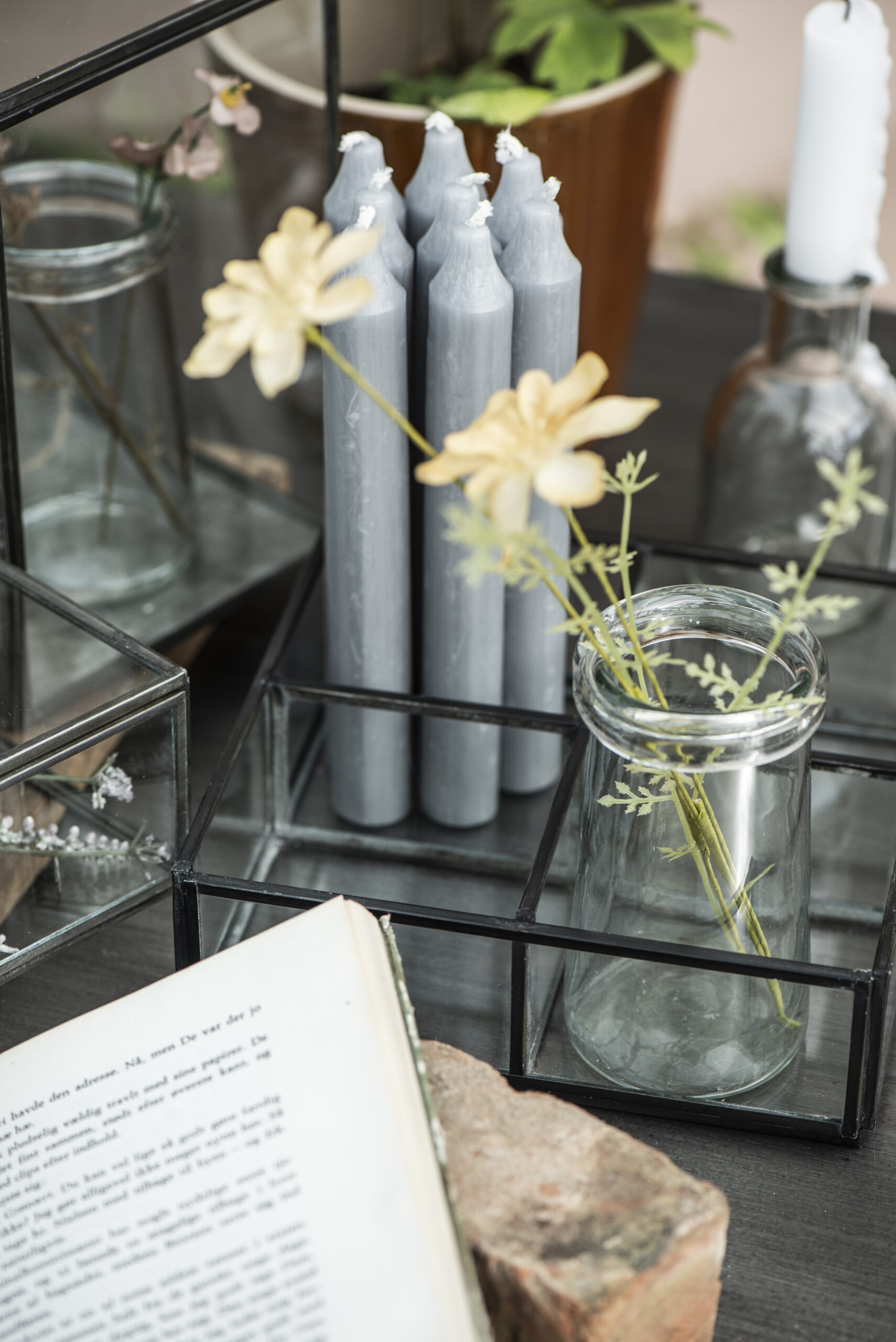 Glasbox mit 4 Fächern