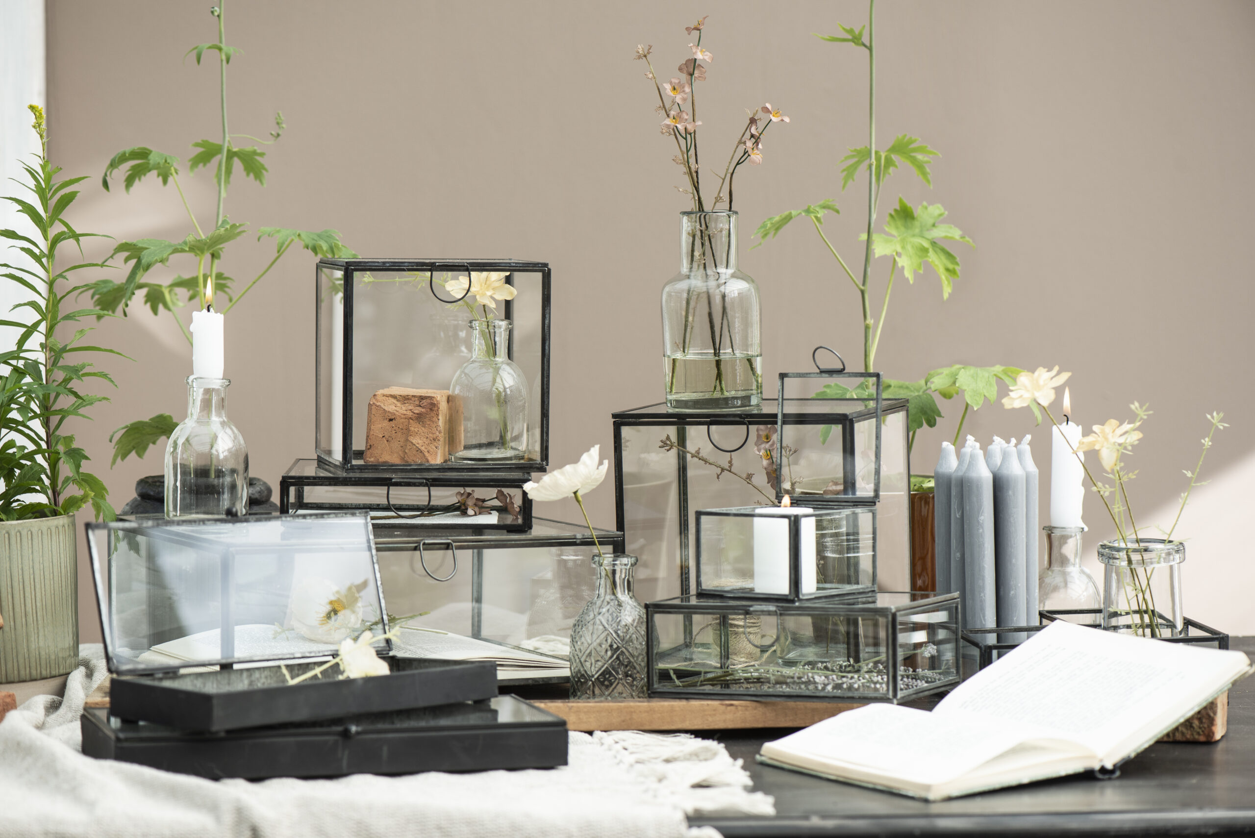 Glasbox mit 4 Fächern