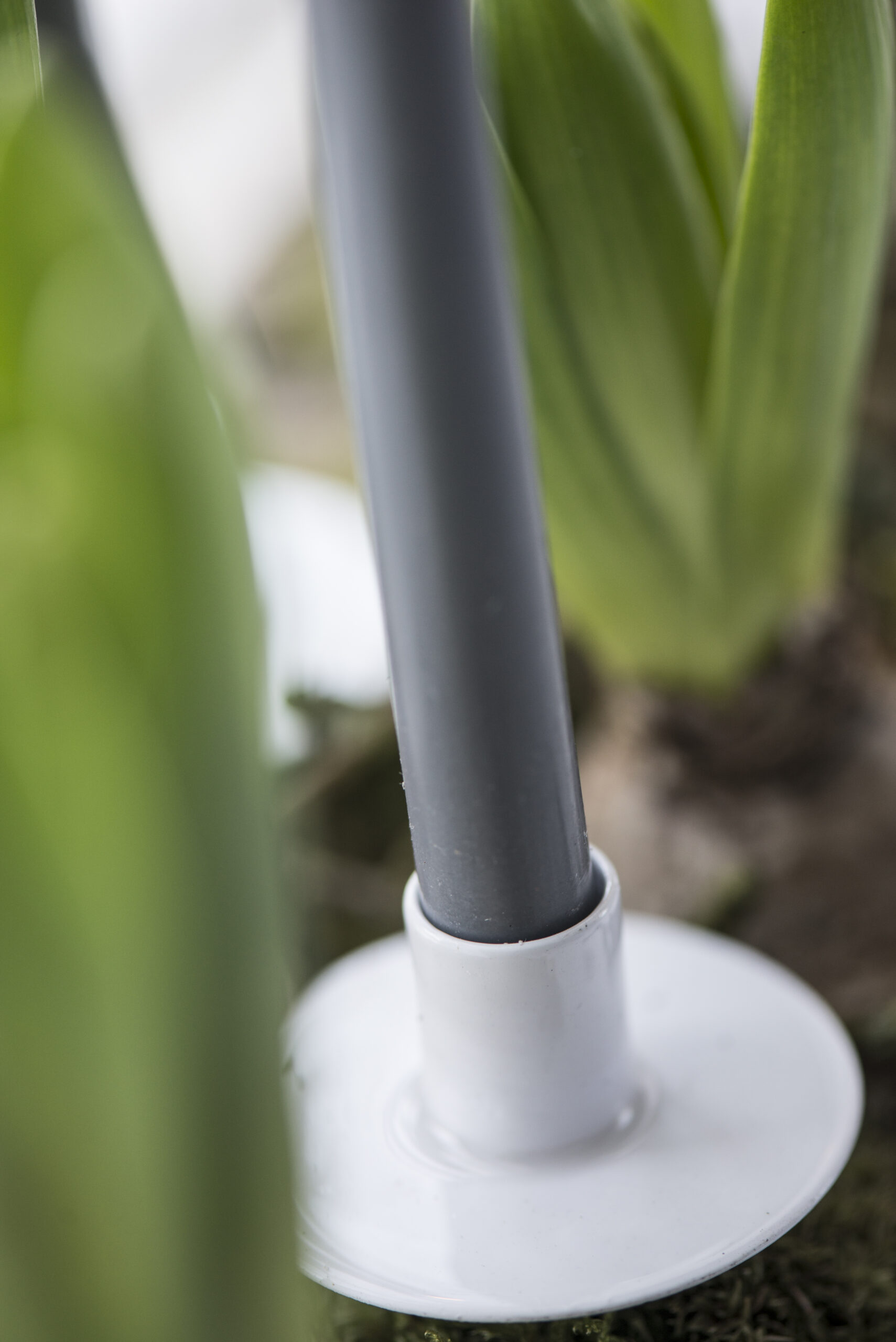 Kerze dünn hoch dunkelgrau