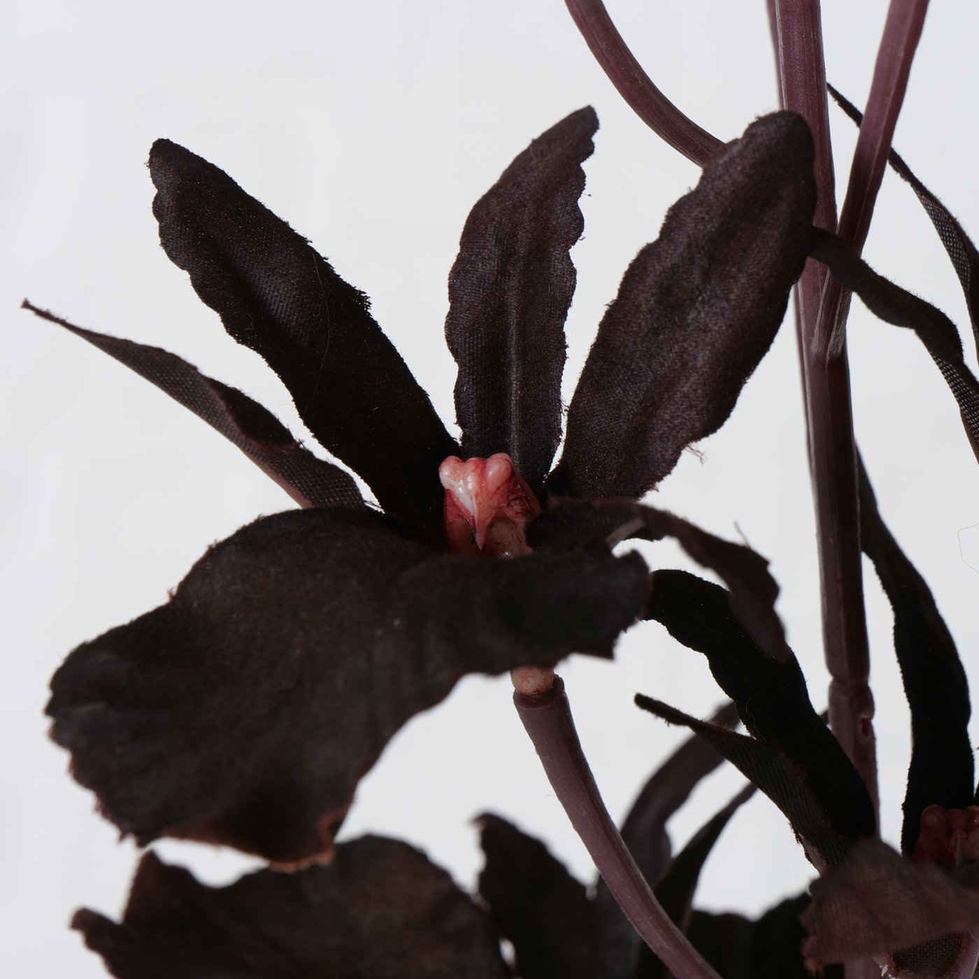 Dekozweig Orchidee, 3 Farben