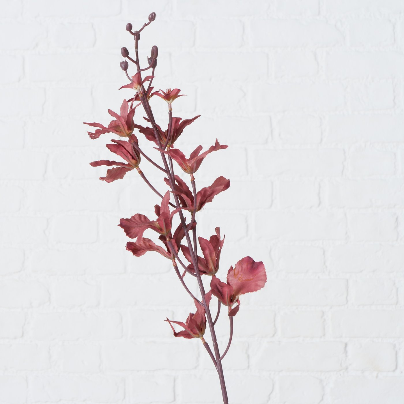 Dekozweig Orchidee