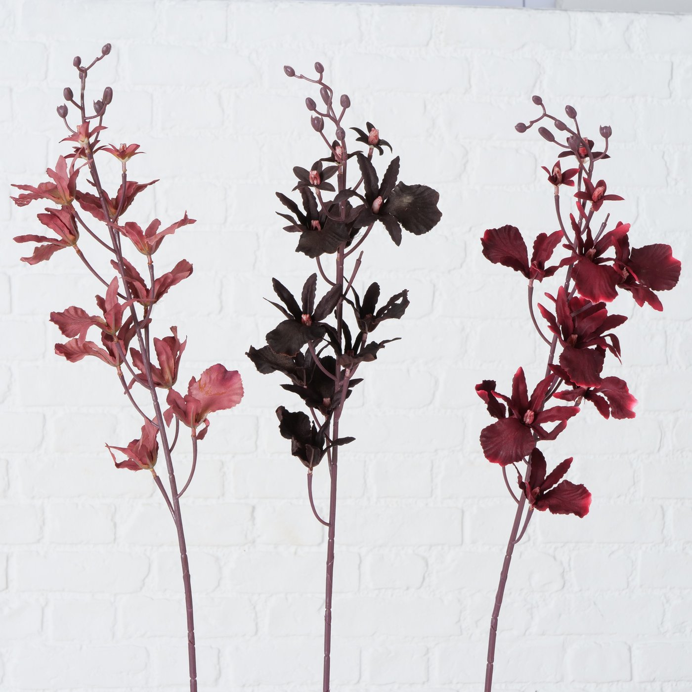 Dekozweig Orchidee