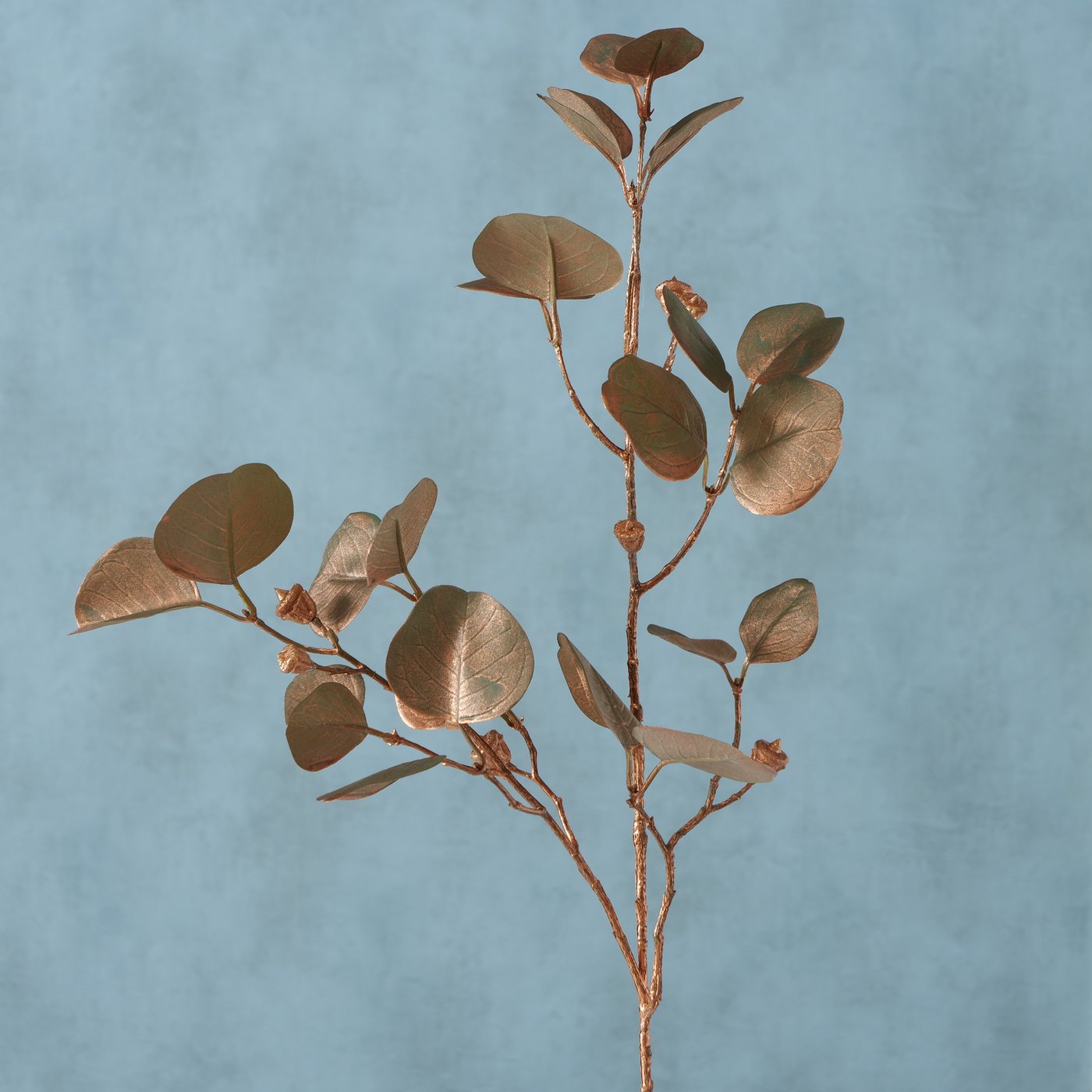 Dekozweig Eukalyptus