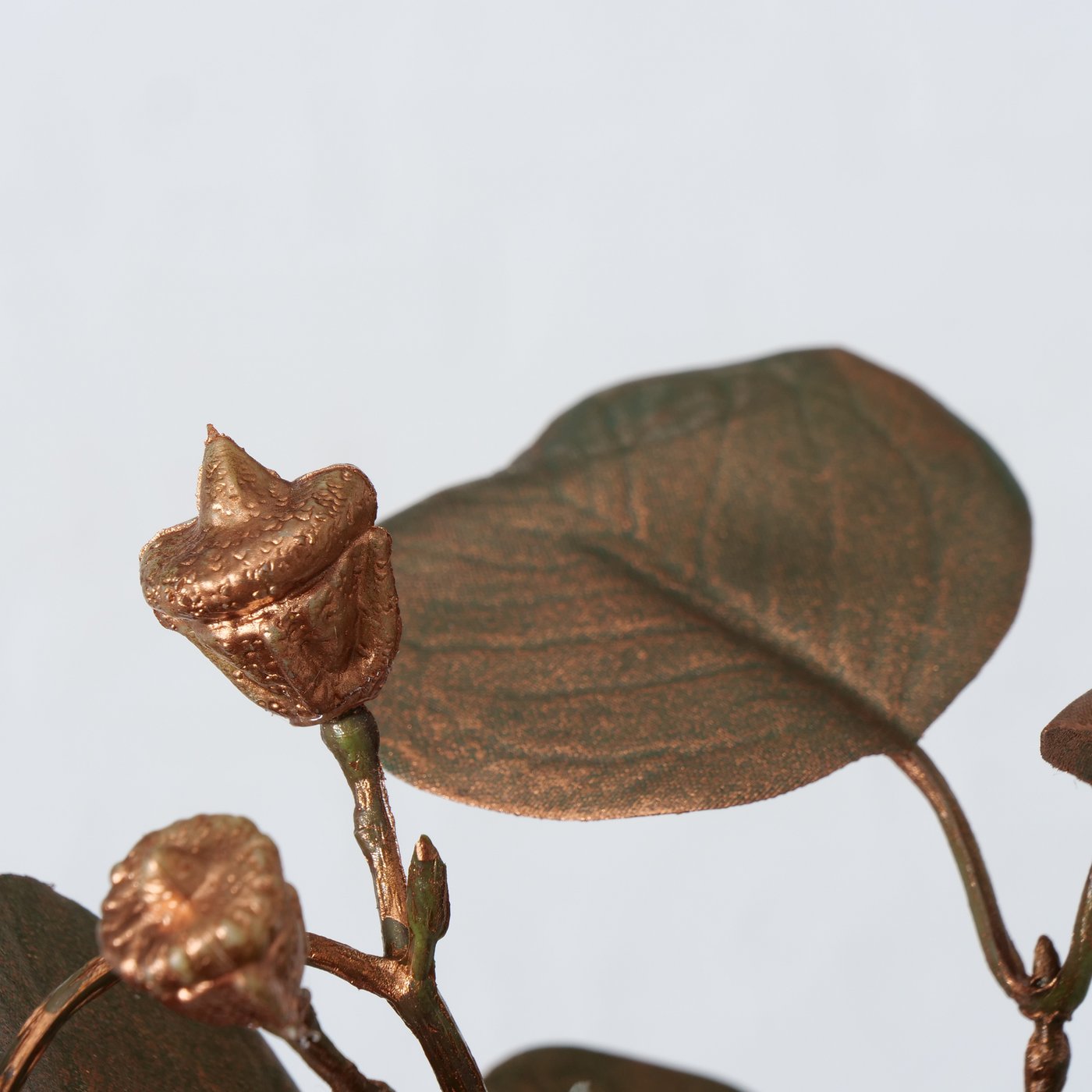 Dekozweig Eukalyptus