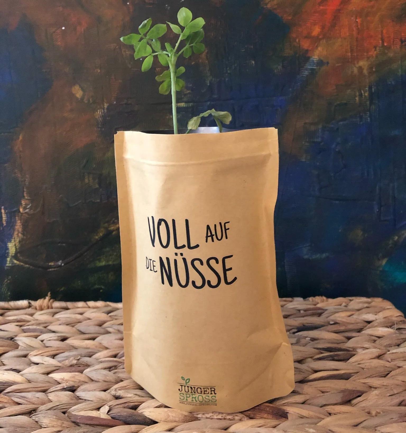 07964916-129F-4903-9509-BBC9F826BED6 <p>Junger Spross – Voll auf die Nüsse (Erdnüsse)</p>