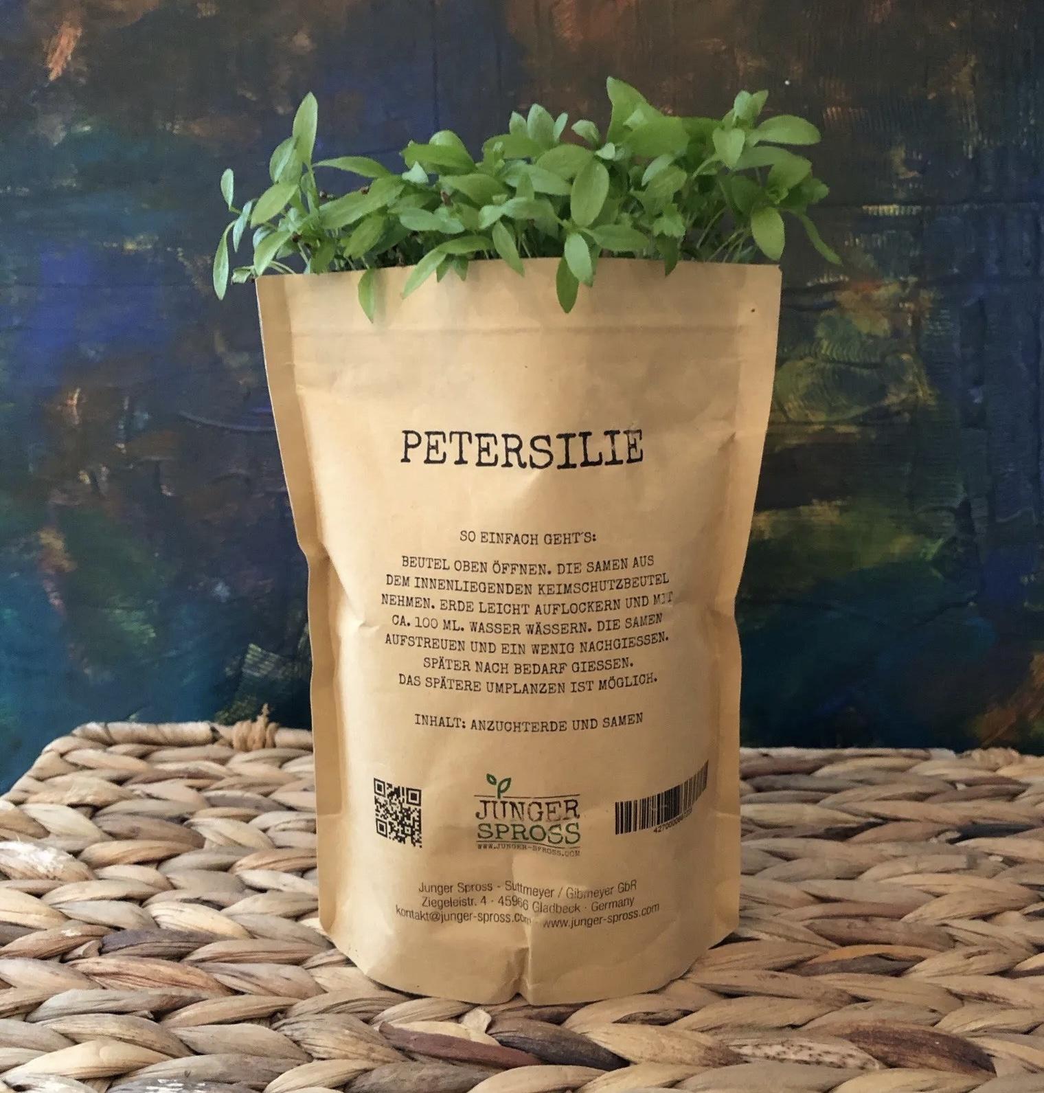 Junger Spross - Statt Blumen (Petersilie)