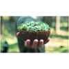 5B43C905-EDEB-4A5F-827D-498239BC59BB Grow-Grow Nut