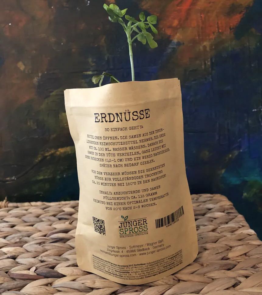 B1EB523F-C4BA-4D04-BD63-E40F131EF79E Junger Spross - Voll auf die Nüsse (Erdnüsse)