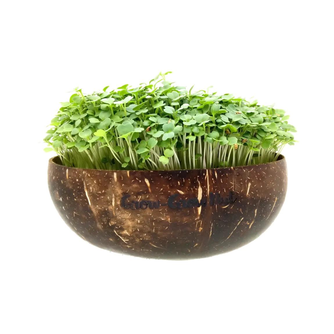 FB94B2BF-F65E-4B35-893C-77FD15BEAD9D Grow-Grow Nut Starterpaket
