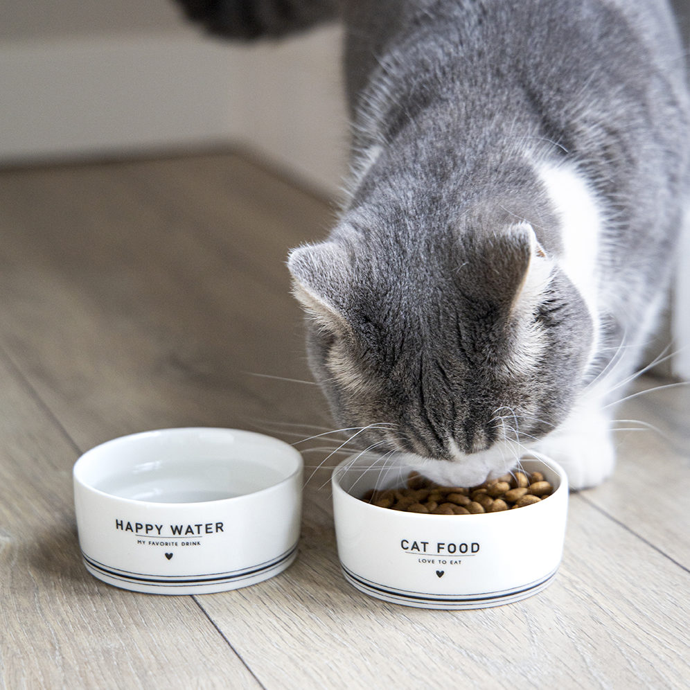 Schüssel-Set CAT Futter Wasser 2er Set