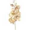 Dekozweig Orchidee Gold