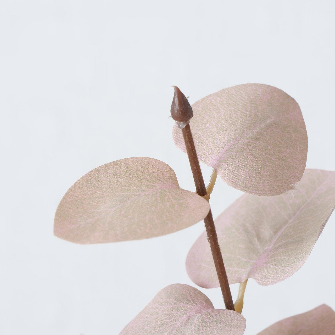 Dekozweig Eukalyptus, Hell-Rosa