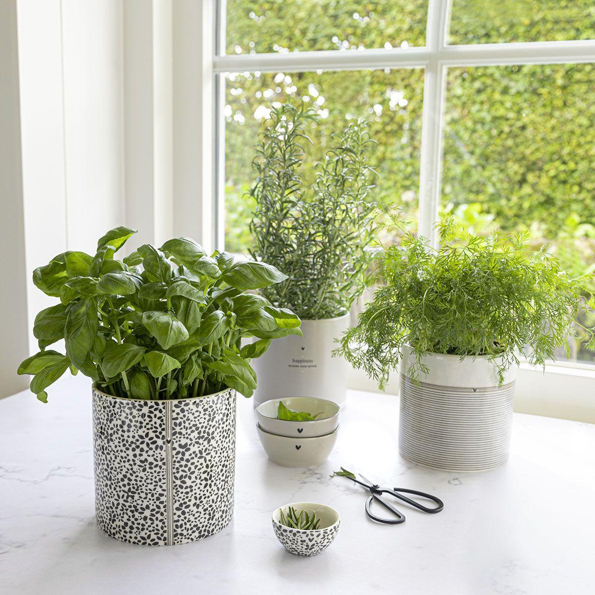 47FB32F7-5CA4-4AAA-9D7D-74953B9E500F Schälchen Mini 3 Sorten Hearts, Stripes, Flowers 2