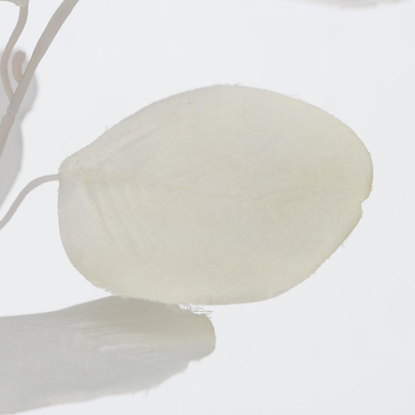 Dekozweig Eukalyptus, Weiß