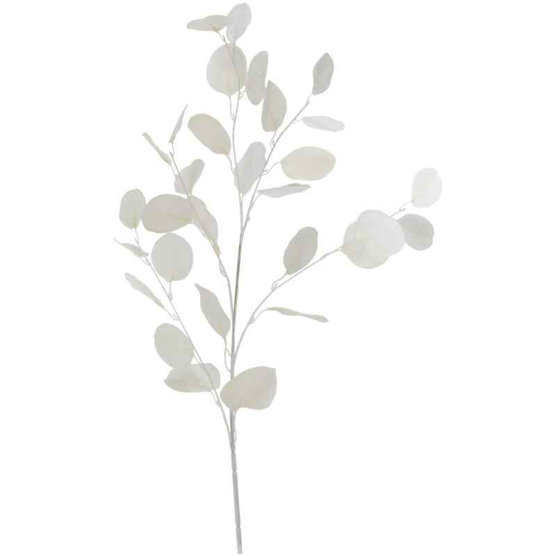 Dekozweig Eukalyptus, Weiß