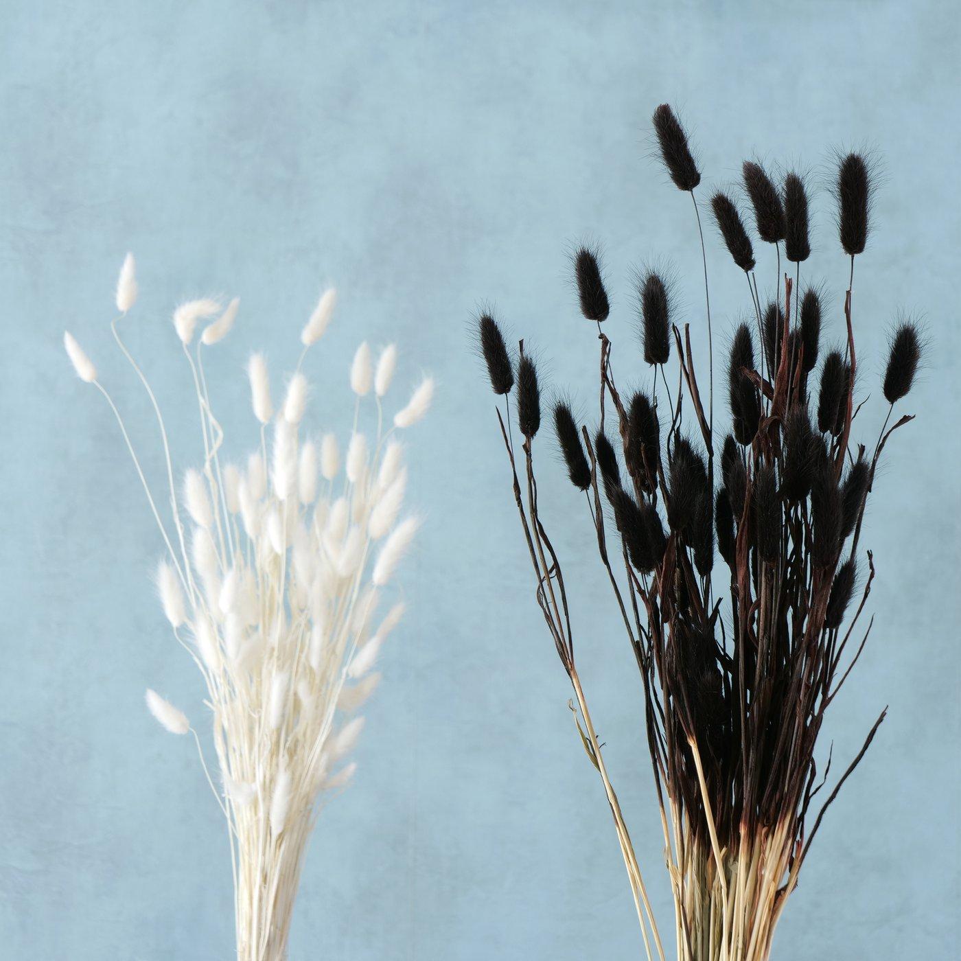 Dekozweig Samtgras, 2 Farben schwarz natur