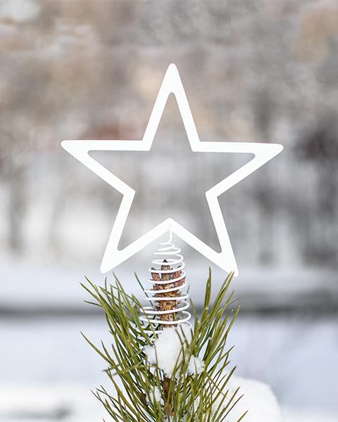 Starby Weihnachsstern