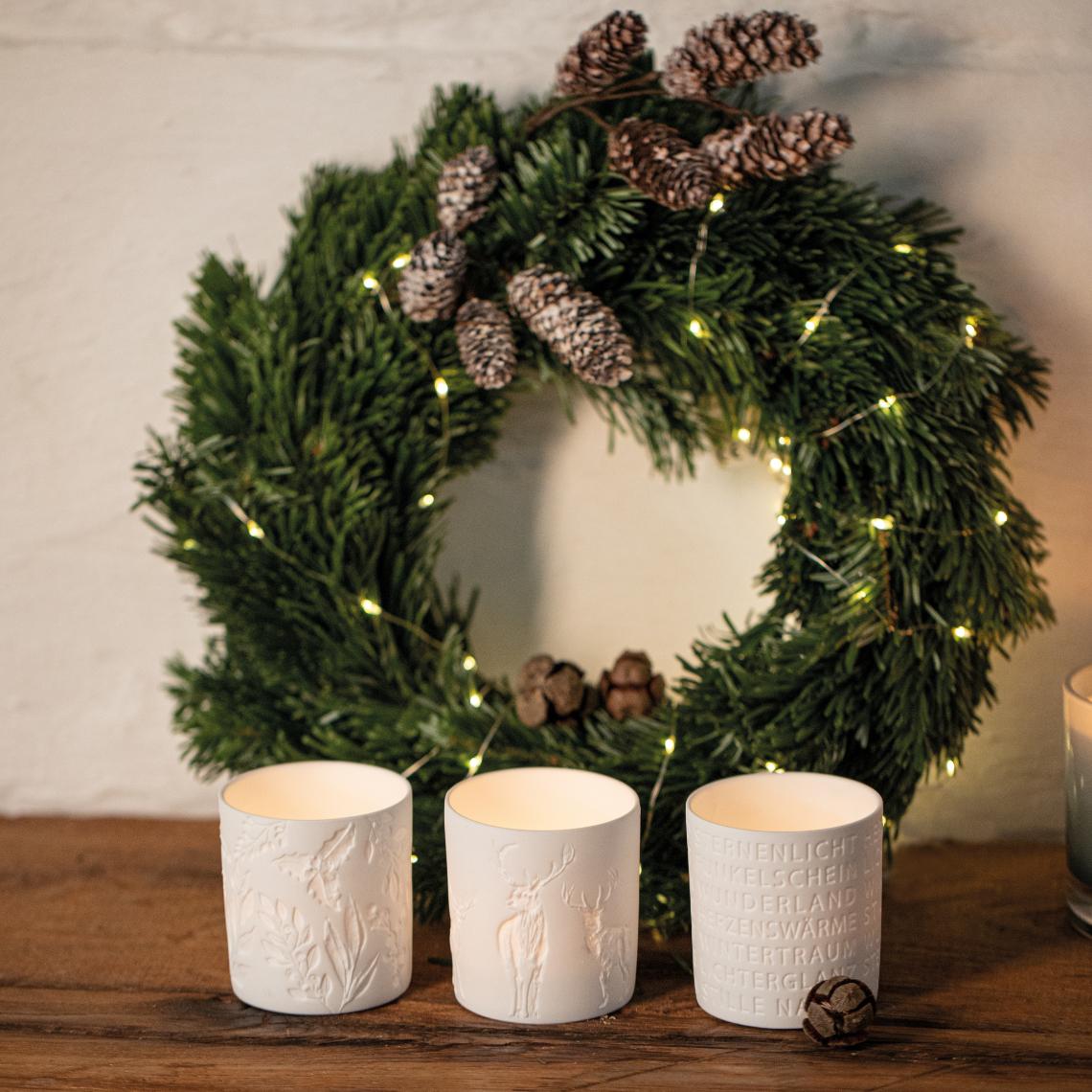 791209A5-D060-4A8D-962F-D01EA9B298A5 Räder Winterschimmer Hirsche