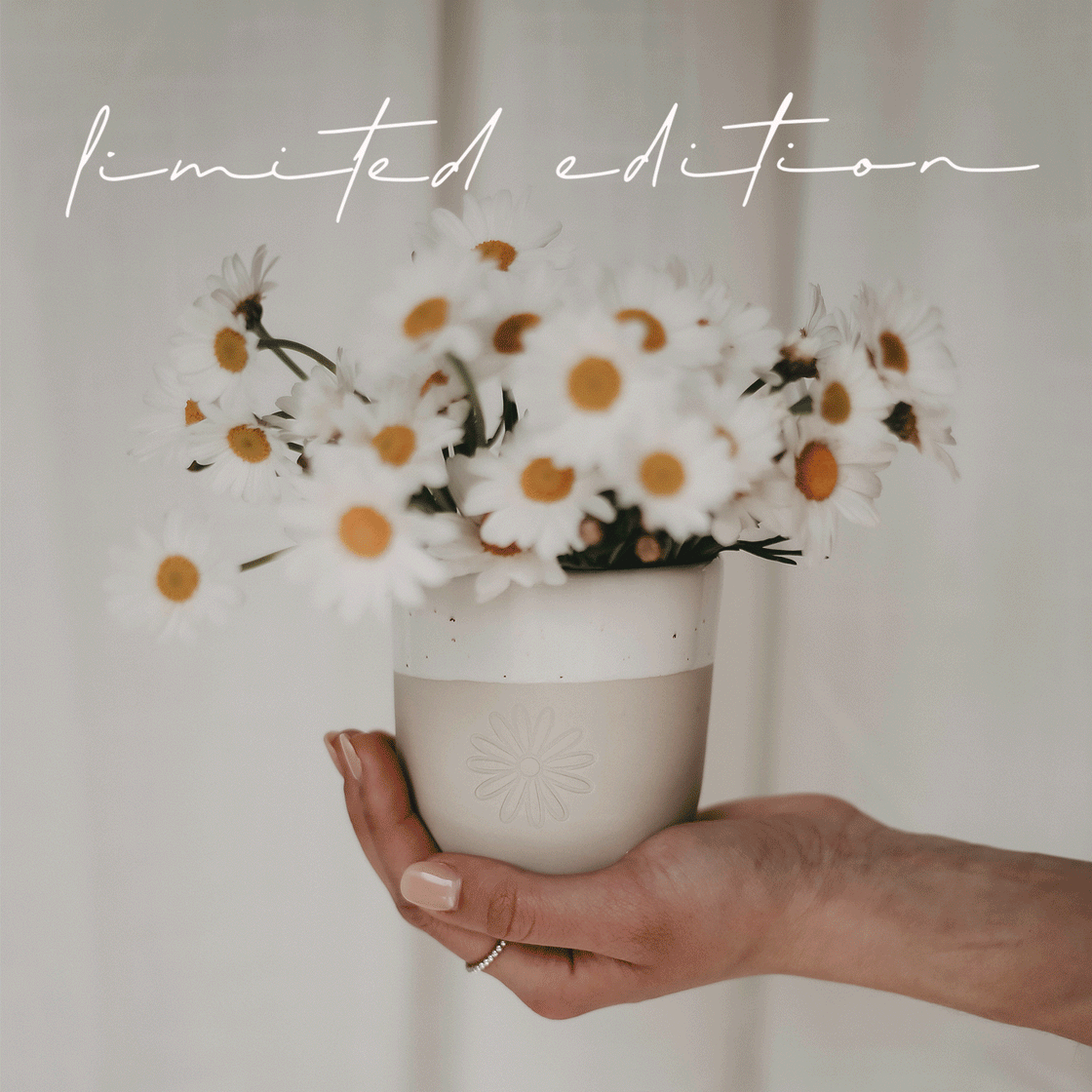 Becher Daisy - limitiert