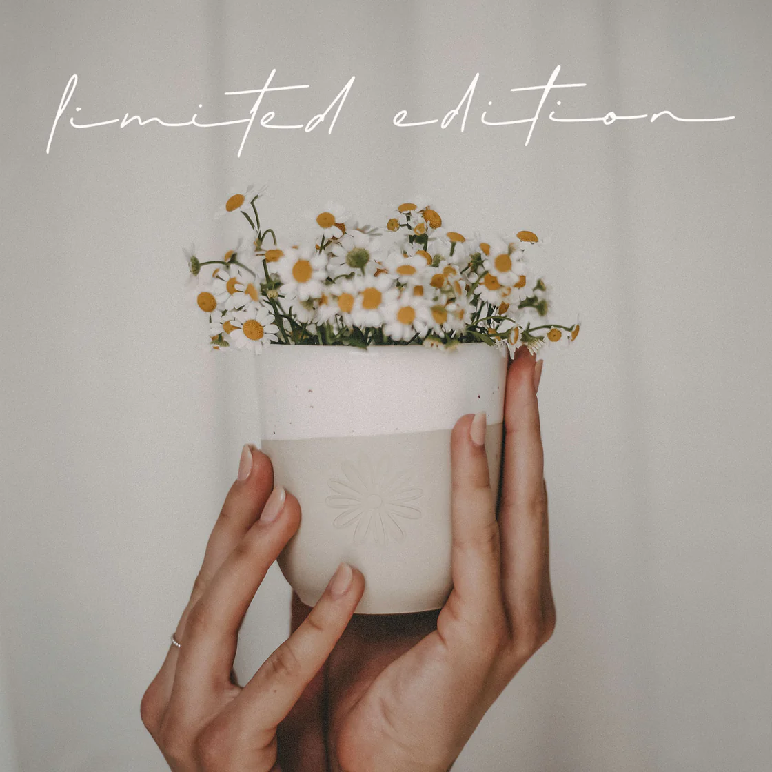 Becher Daisy - limitiert