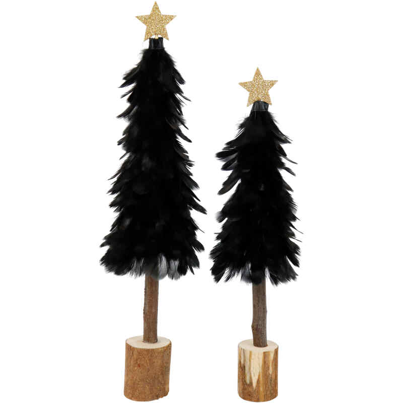 Federbaum Black Beauty 2 Sorten