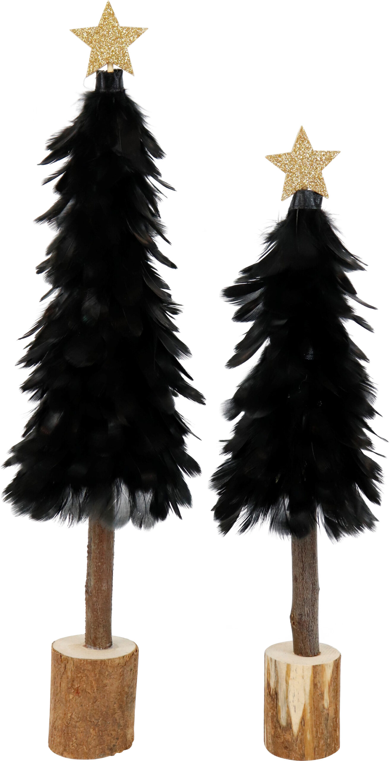 Federbaum Black Beauty 2 Sorten