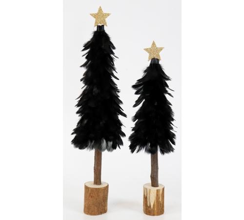 Federbaum Black Beauty 2 Sorten