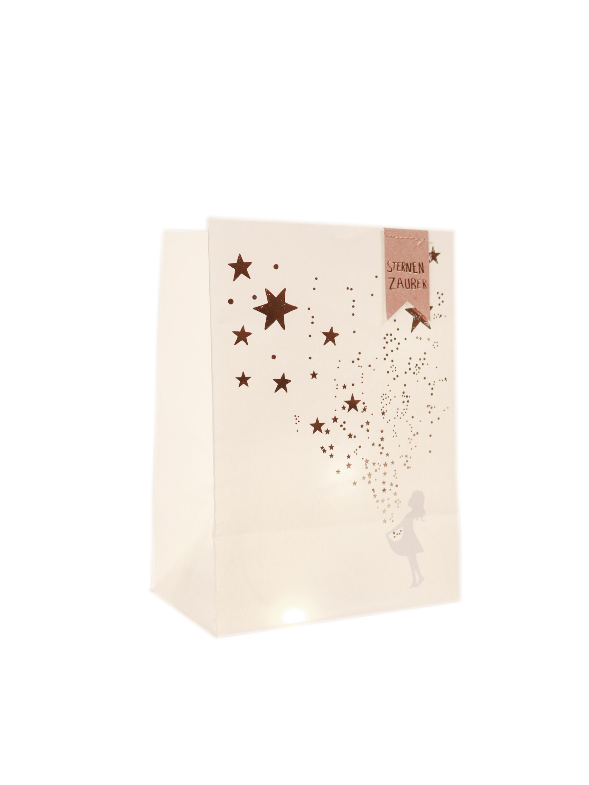 Goodoldfriends Winter Schattenlichttüte 6 Sorten