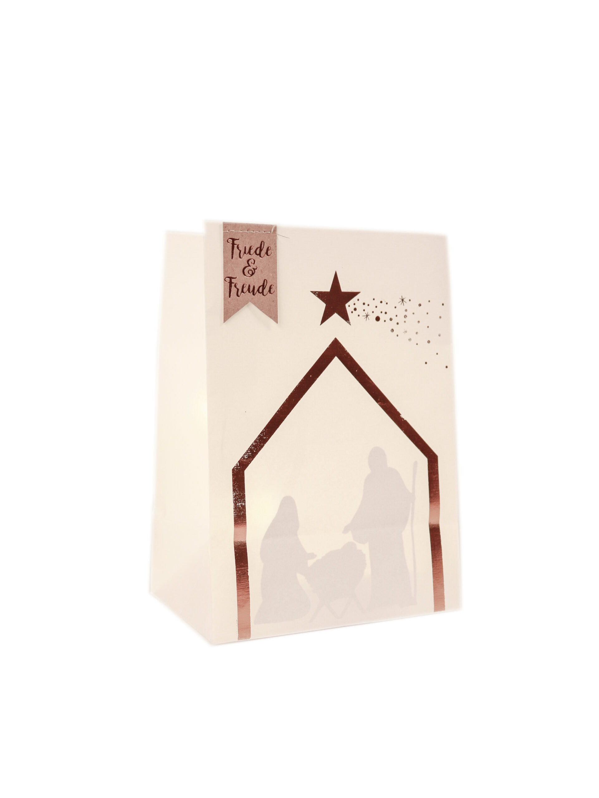 Goodoldfriends Winter Schattenlichttüte 6 Sorten