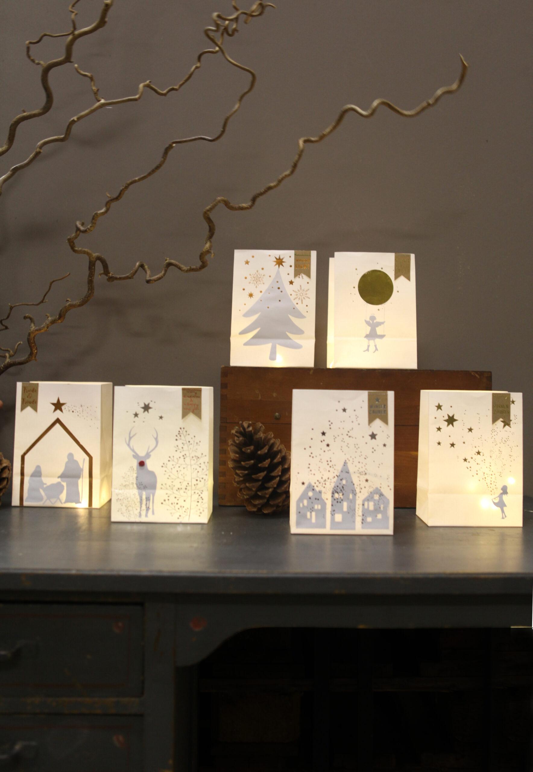 Goodoldfriends Winter Schattenlichttüte 6 Sorten