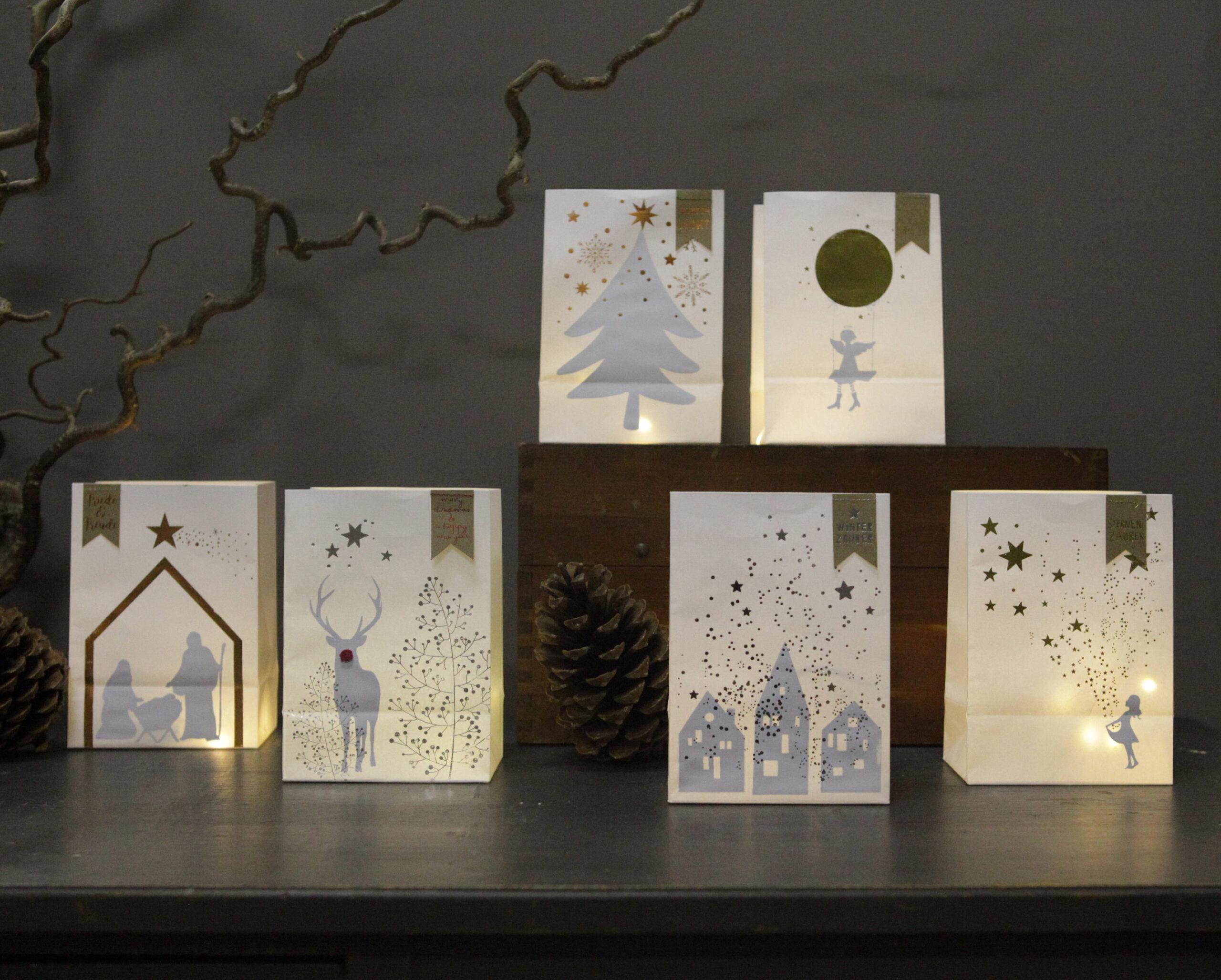 Goodoldfriends Winter Schattenlichttüte 6 Sorten