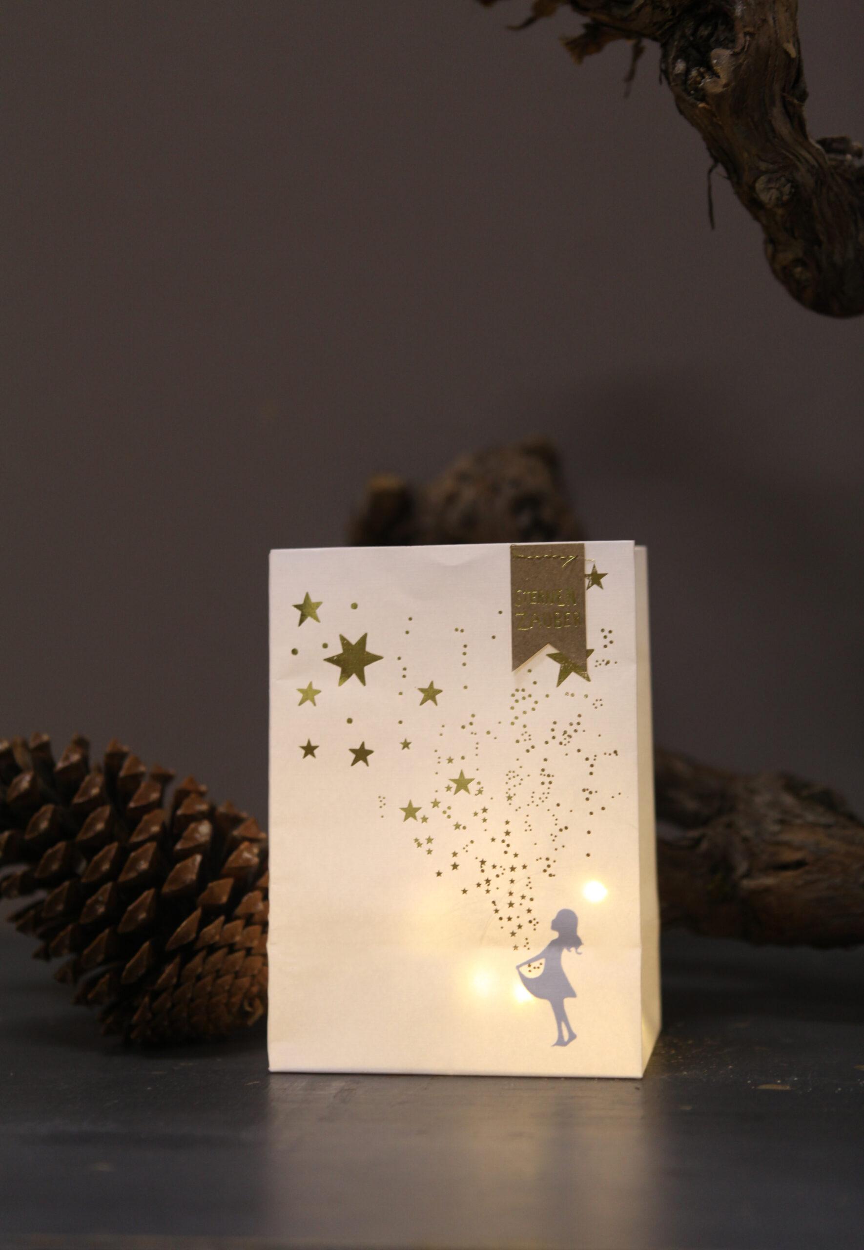 Goodoldfriends Winter Schattenlichttüte 6 Sorten