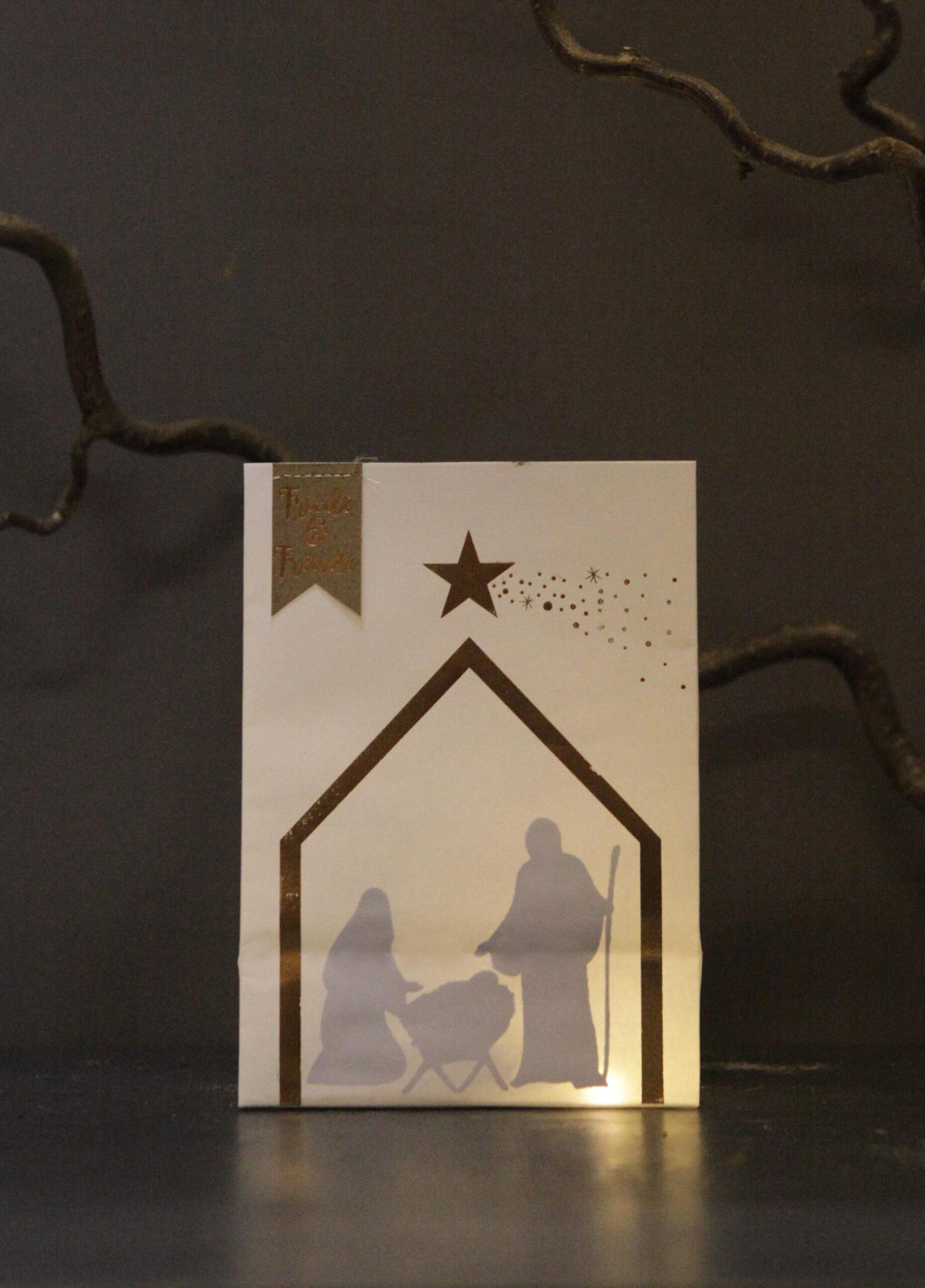 Goodoldfriends Winter Schattenlichttüte 6 Sorten