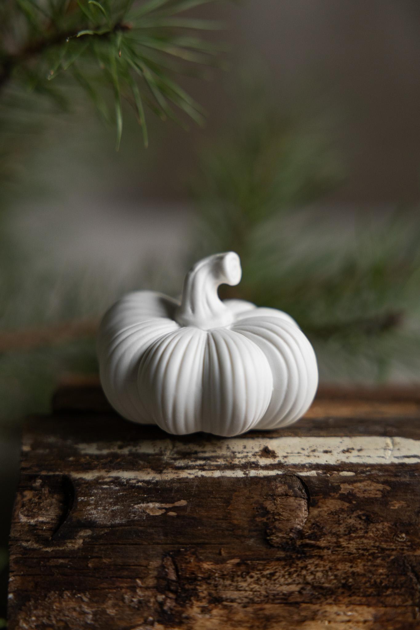 Ekasen Dekoration Kürbis