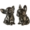 Spardose Chihuahua 2 Sorten